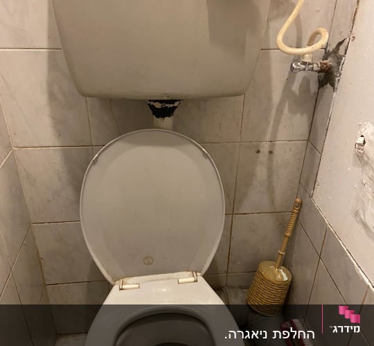 אסלה עם מברשת ניקוי וצינור מים